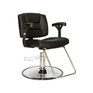 Salon Chairs Dryer Chairs Stools Professional Salon